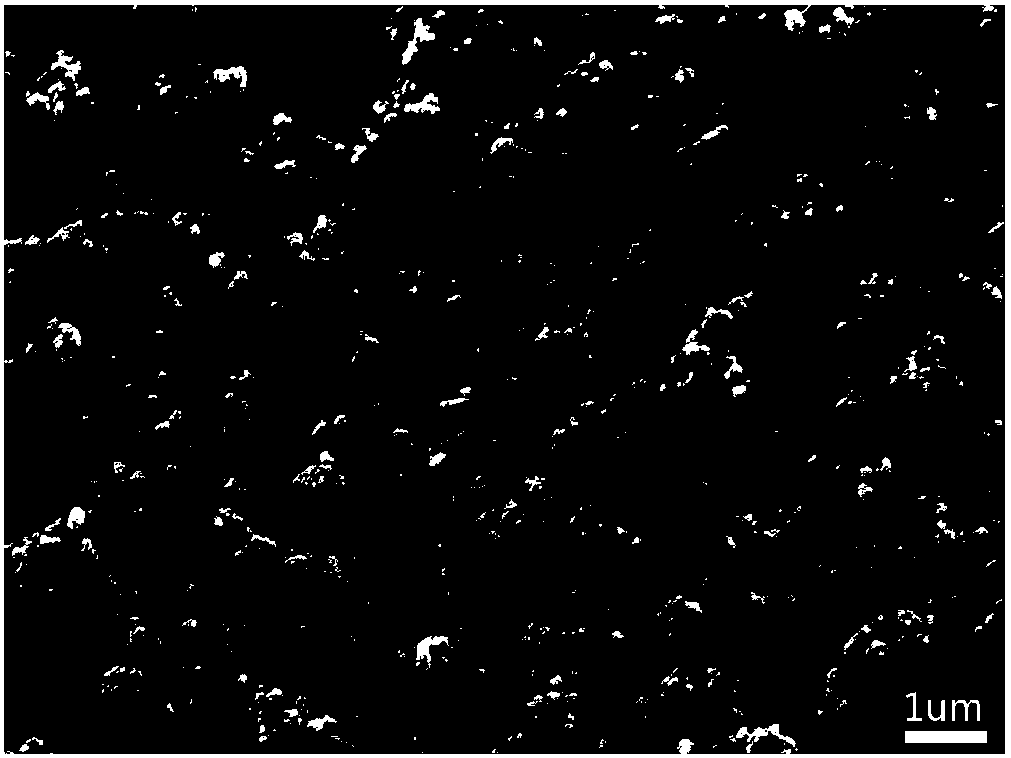 Positive electrode material of lithium-sulfur battery and preparation method thereof