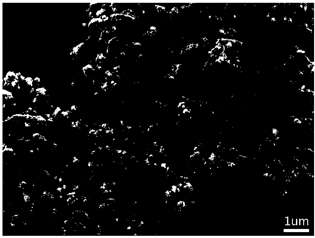 Positive electrode material of lithium-sulfur battery and preparation method thereof