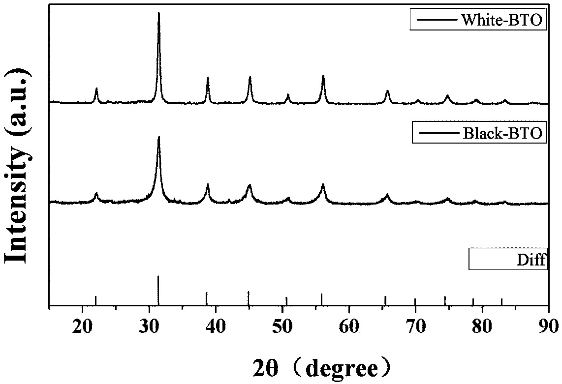 Positive electrode material of lithium-sulfur battery and preparation method thereof