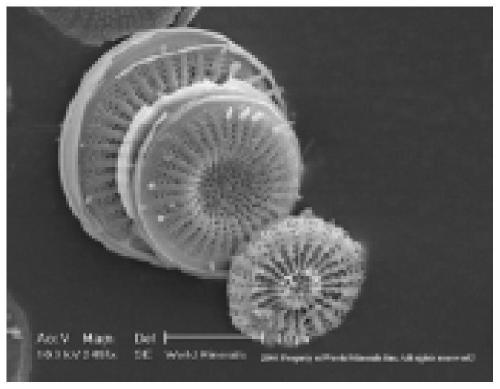 Novel insecticidal pesticide composition