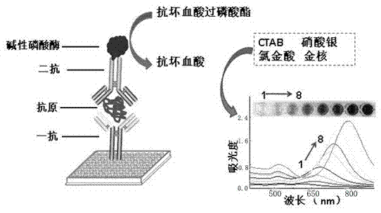 Visualized immunoassay method based on nanogold growth