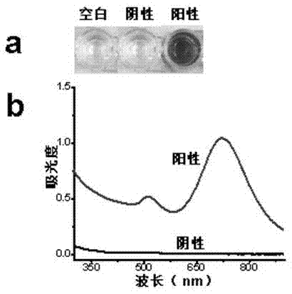 Visualized immunoassay method based on nanogold growth