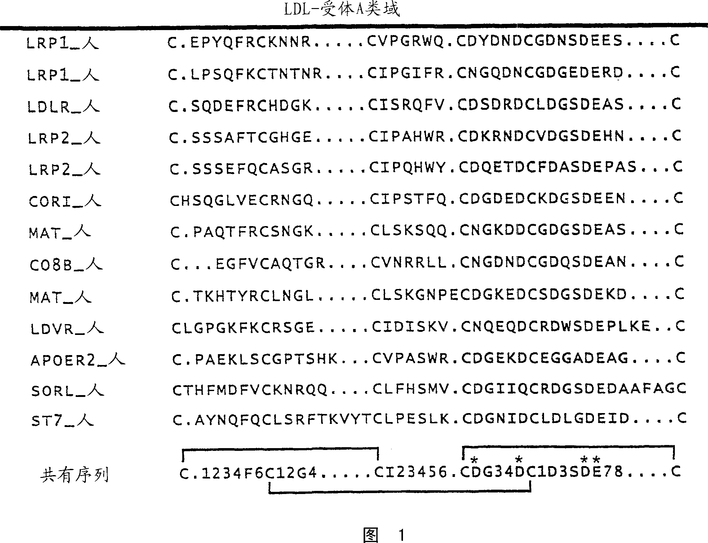 c-MET kinase binding proteins