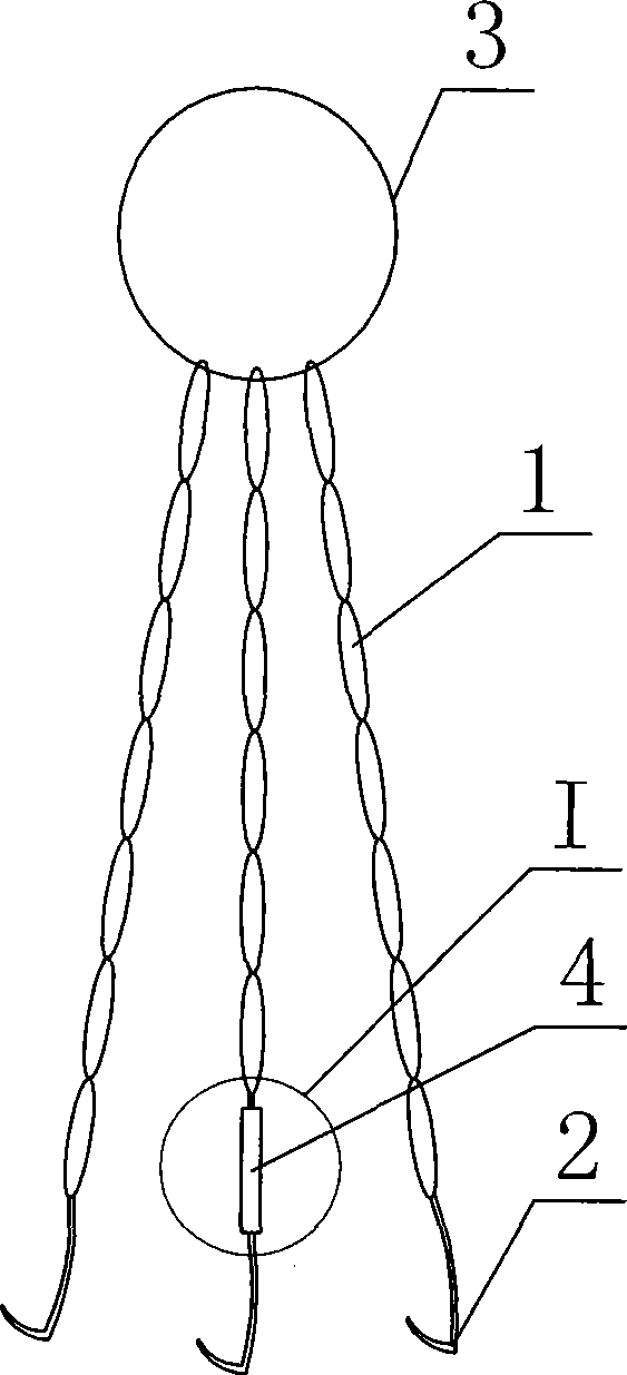 Multi-claw hook