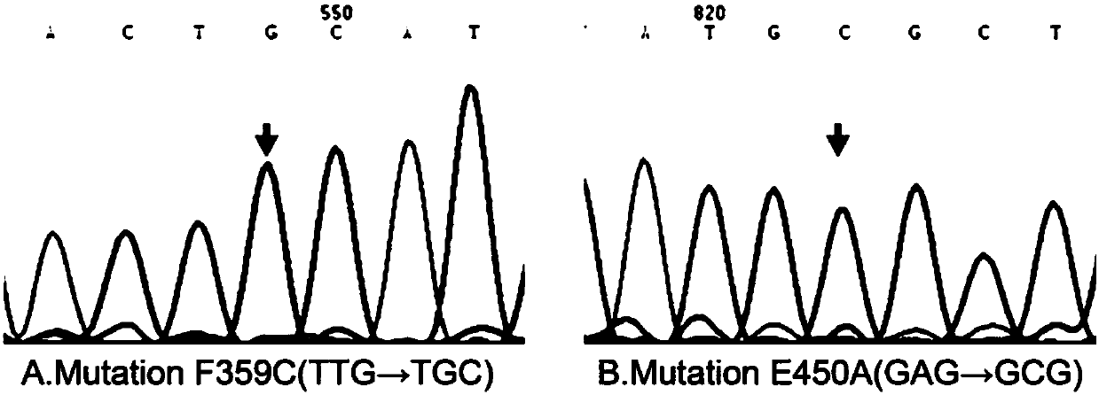 BCR-ABL1 kinase structural domain compound mutant and kit