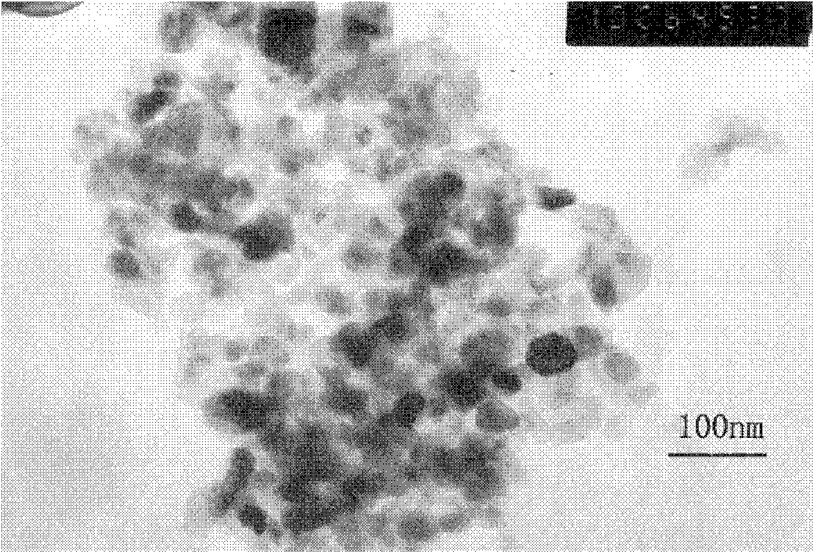 Composite antibacterial powder and preparation method thereof