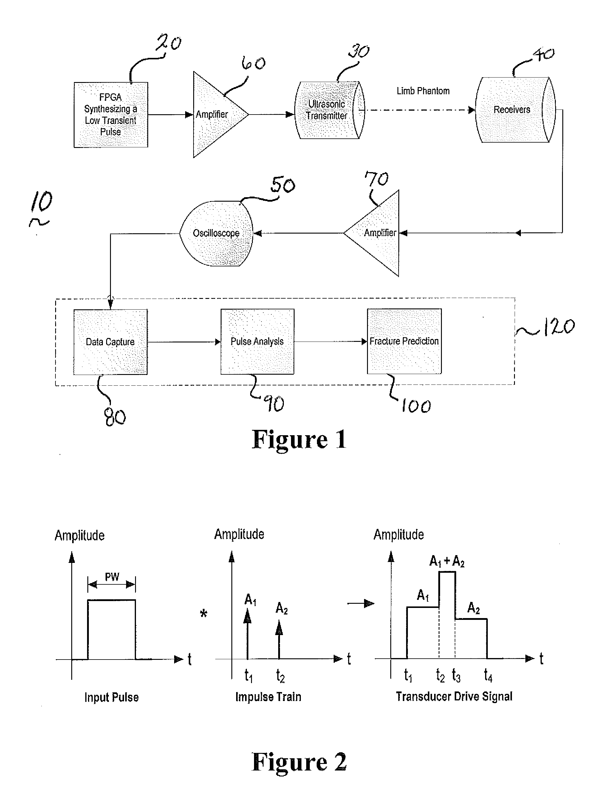 System and method for ultrasound analysis of biological structures