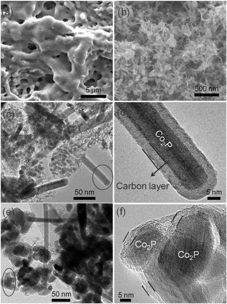 Oxygen reduction and oxygen evolution cobalt phosphide@NPC double-function compound catalyst and preparation method and application thereof