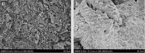 Purifying agent for nitrates in water and application of purifying agent