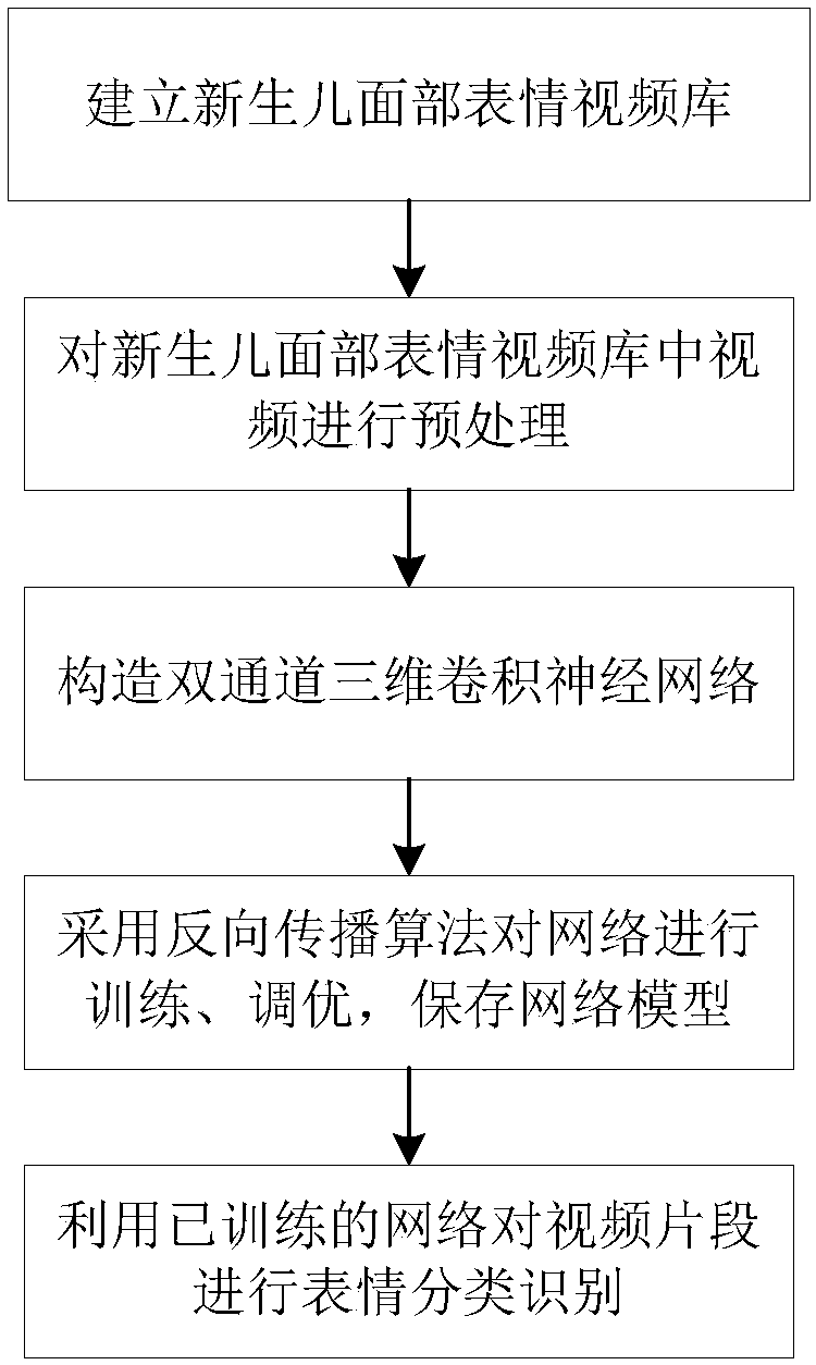 Newborn pain expression recognition method based on two-channel three-dimensional convolutional neural network