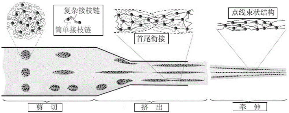 Preparation method of grafted SiO2 particle cluster orientation reinforced polyester fiber