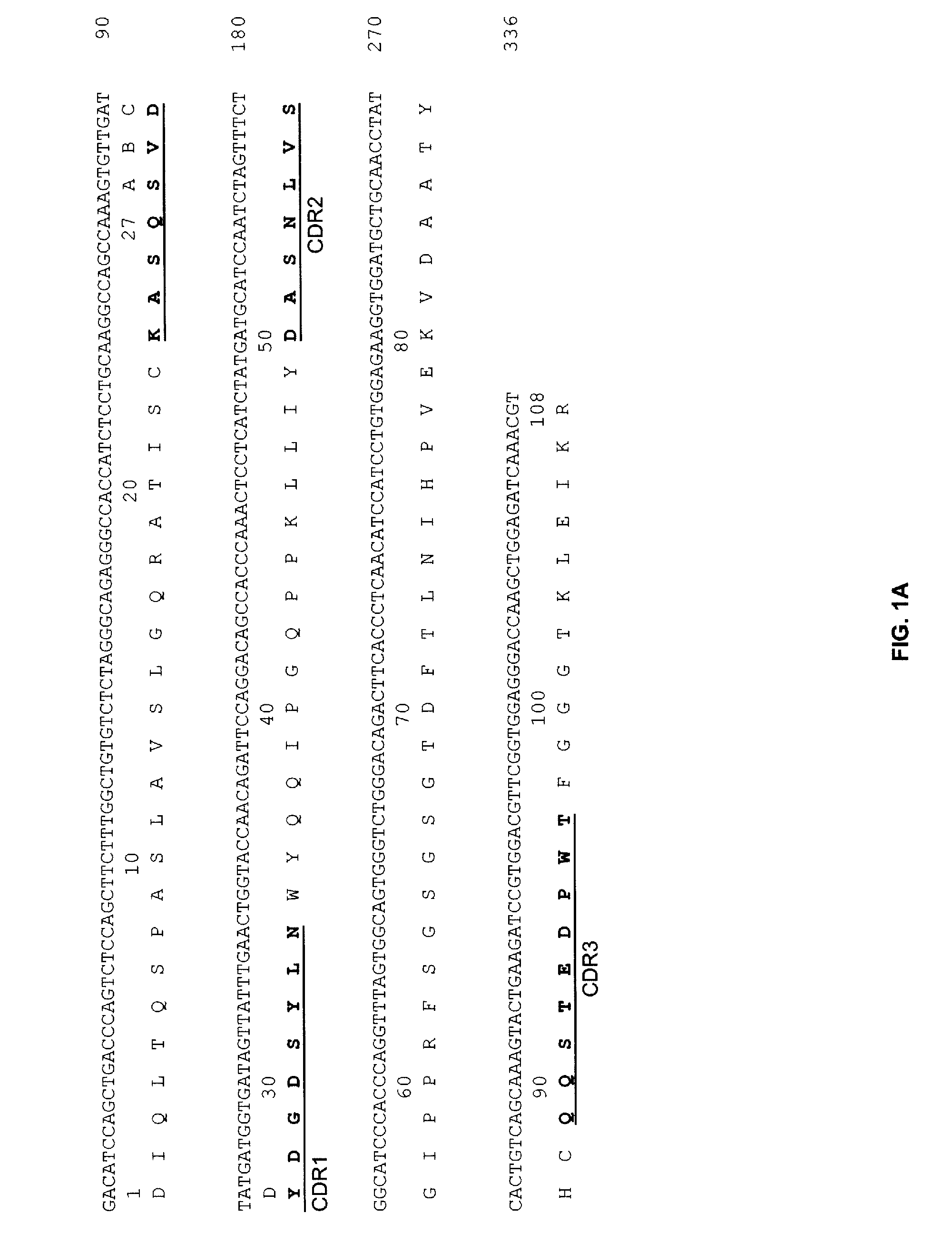 Anti-CD19 Antibodies