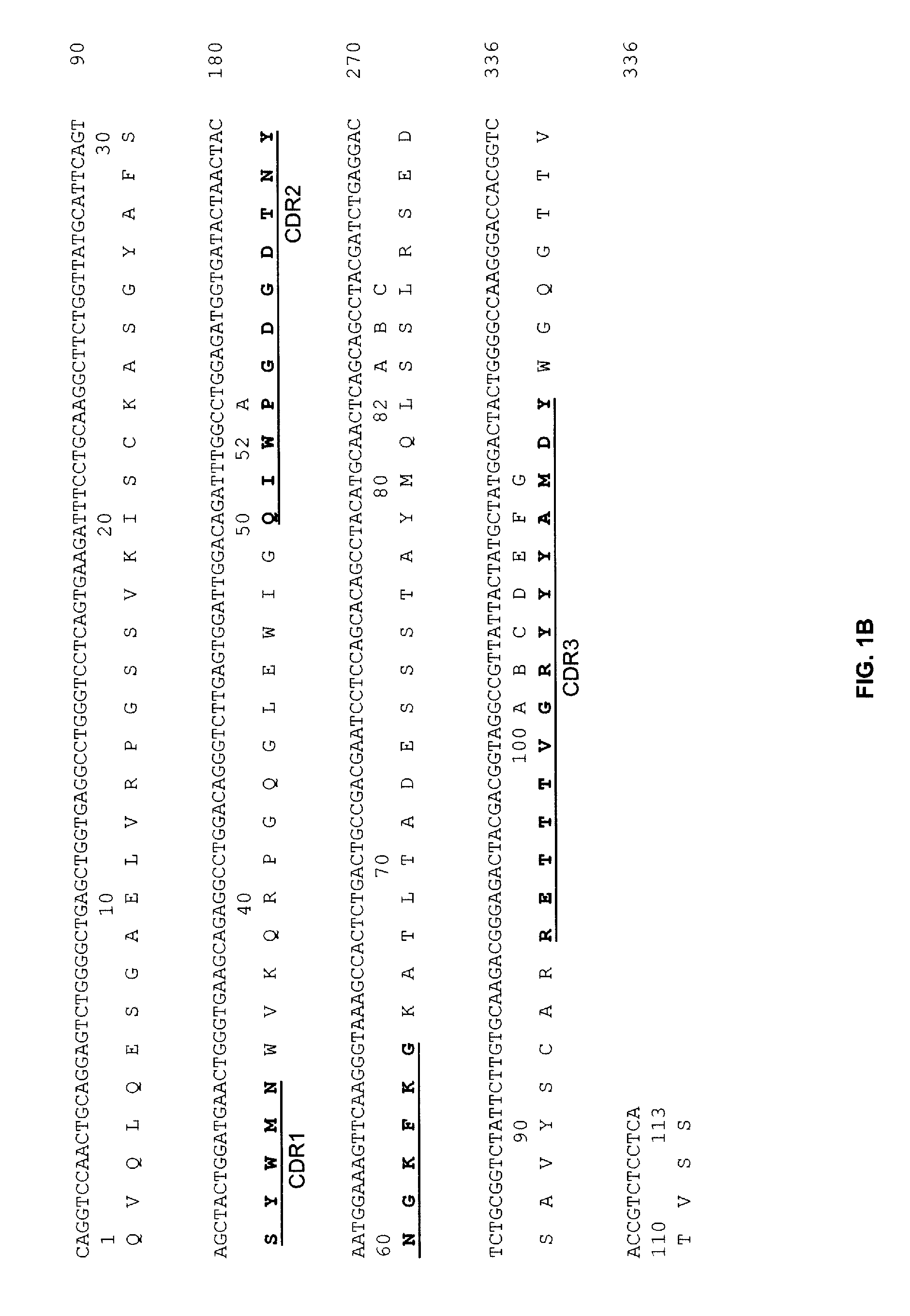 Anti-CD19 Antibodies