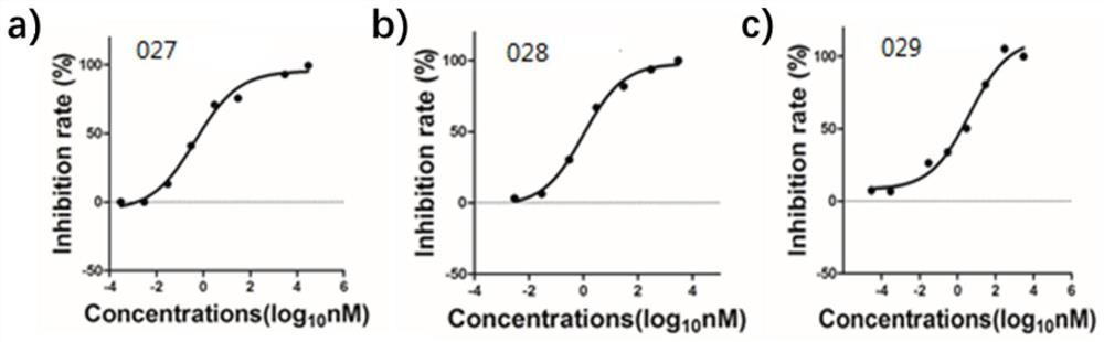 Rhein derivative and antiviral application thereof