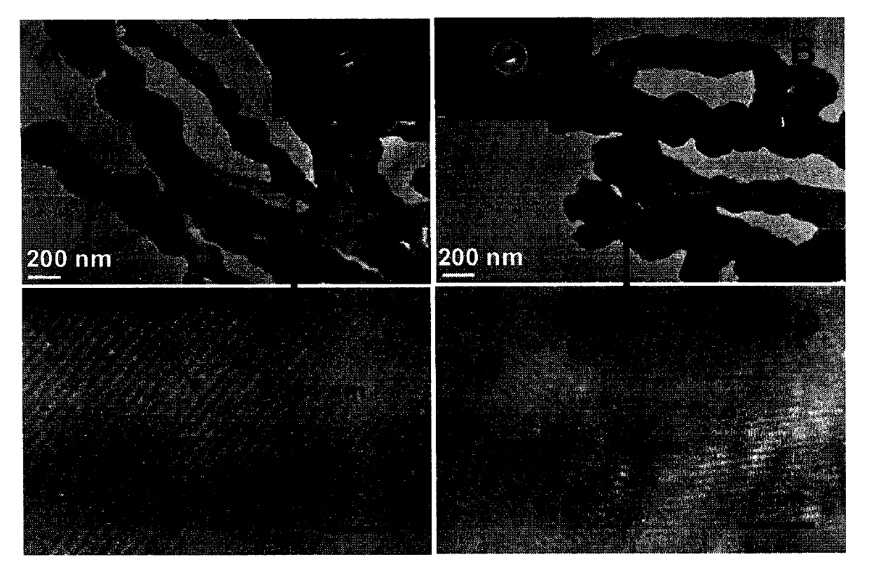 Method for preparing mass wormlike palladium nanotubes