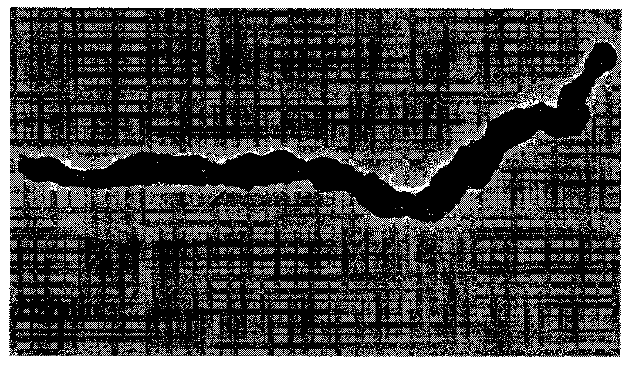 Method for preparing mass wormlike palladium nanotubes