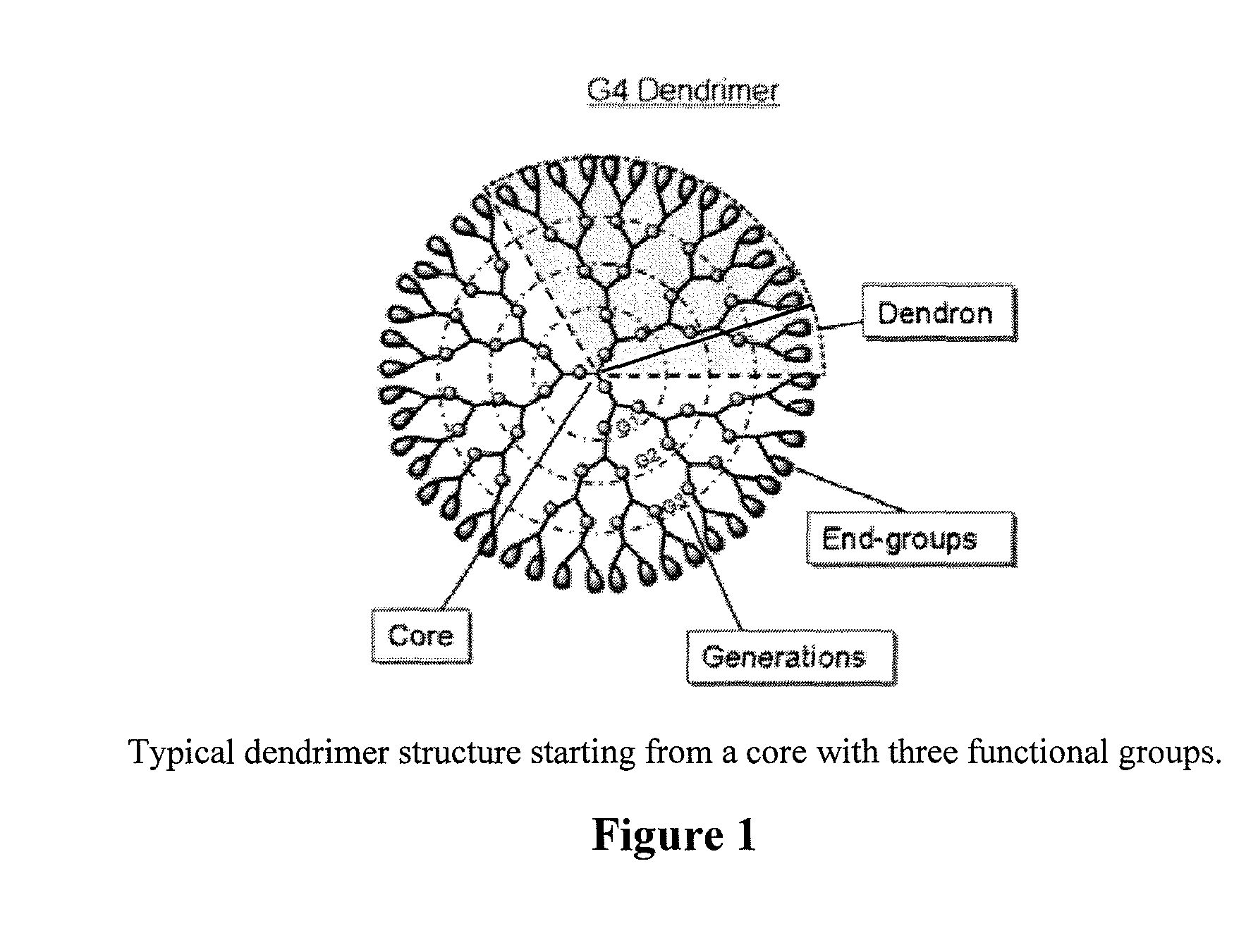 Controlled drug release from dendrimers