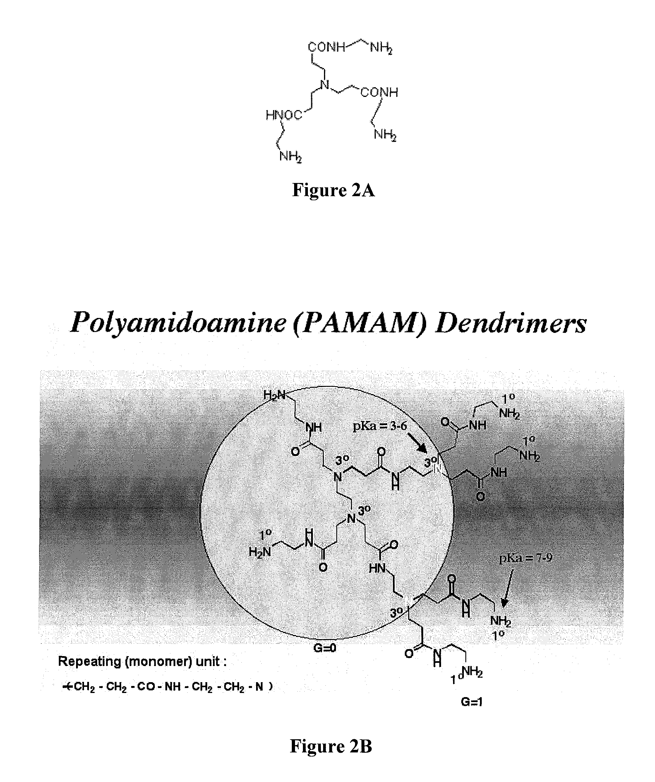 Controlled drug release from dendrimers