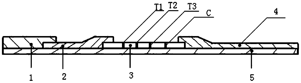 Fluorescent microsphere combined detection device for cardiac marker and preparation method of fluorescent microsphere combined detection device