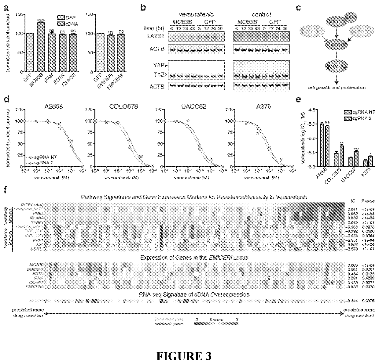 Methods for identification and modification of lncrna associated with target genotypes and phenotypes