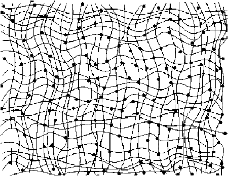 Bacterial cellulose porous foam material and preparation method thereof