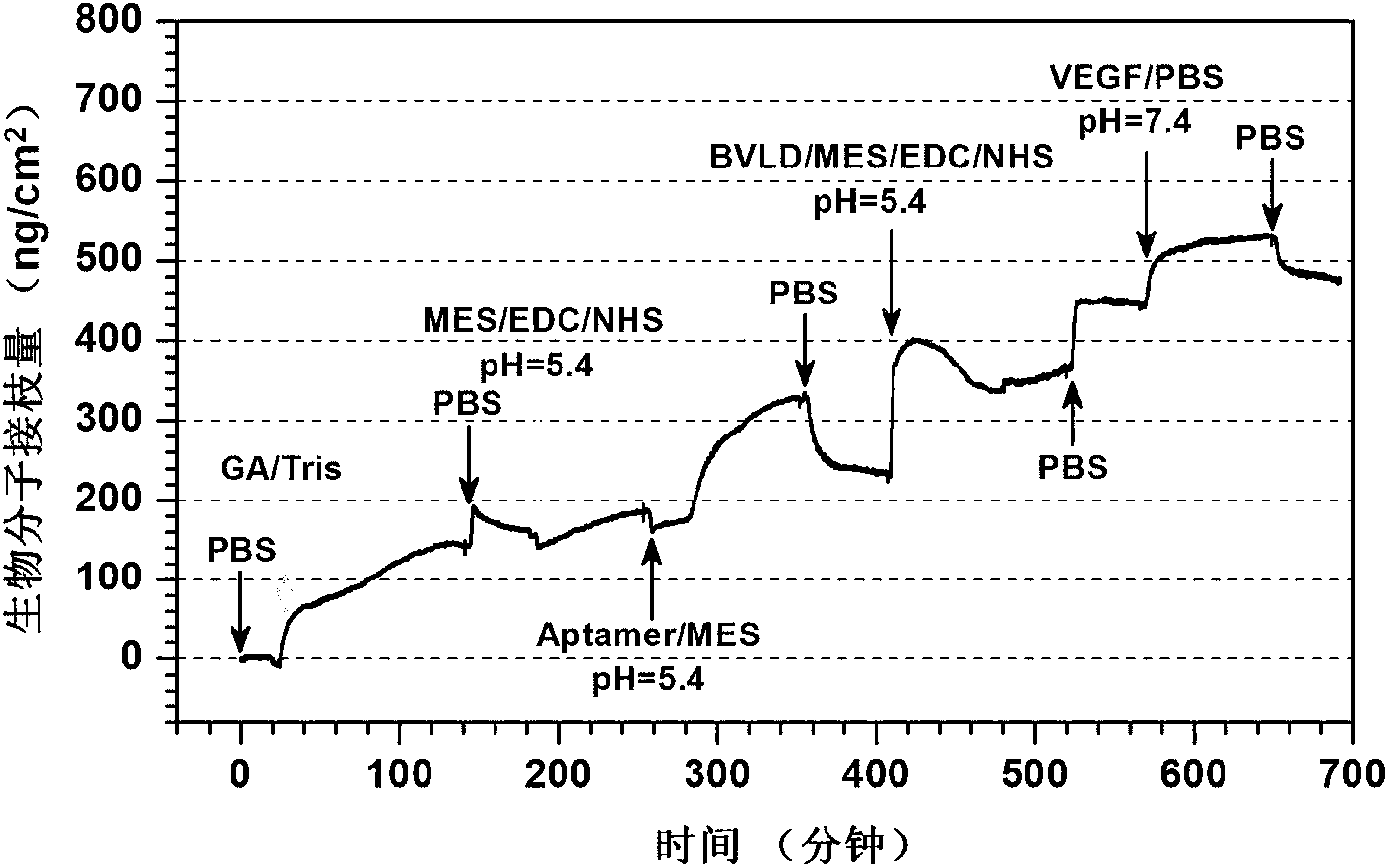 Preparation method of biomedical materials of multiclass functional group rich in amino group, carboxyl group and benzoquinonyl group