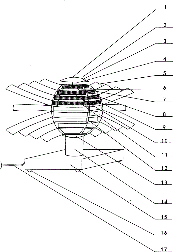 Teaching apparatus capable of comparing differences between eastern callisthenics and western callisthenics