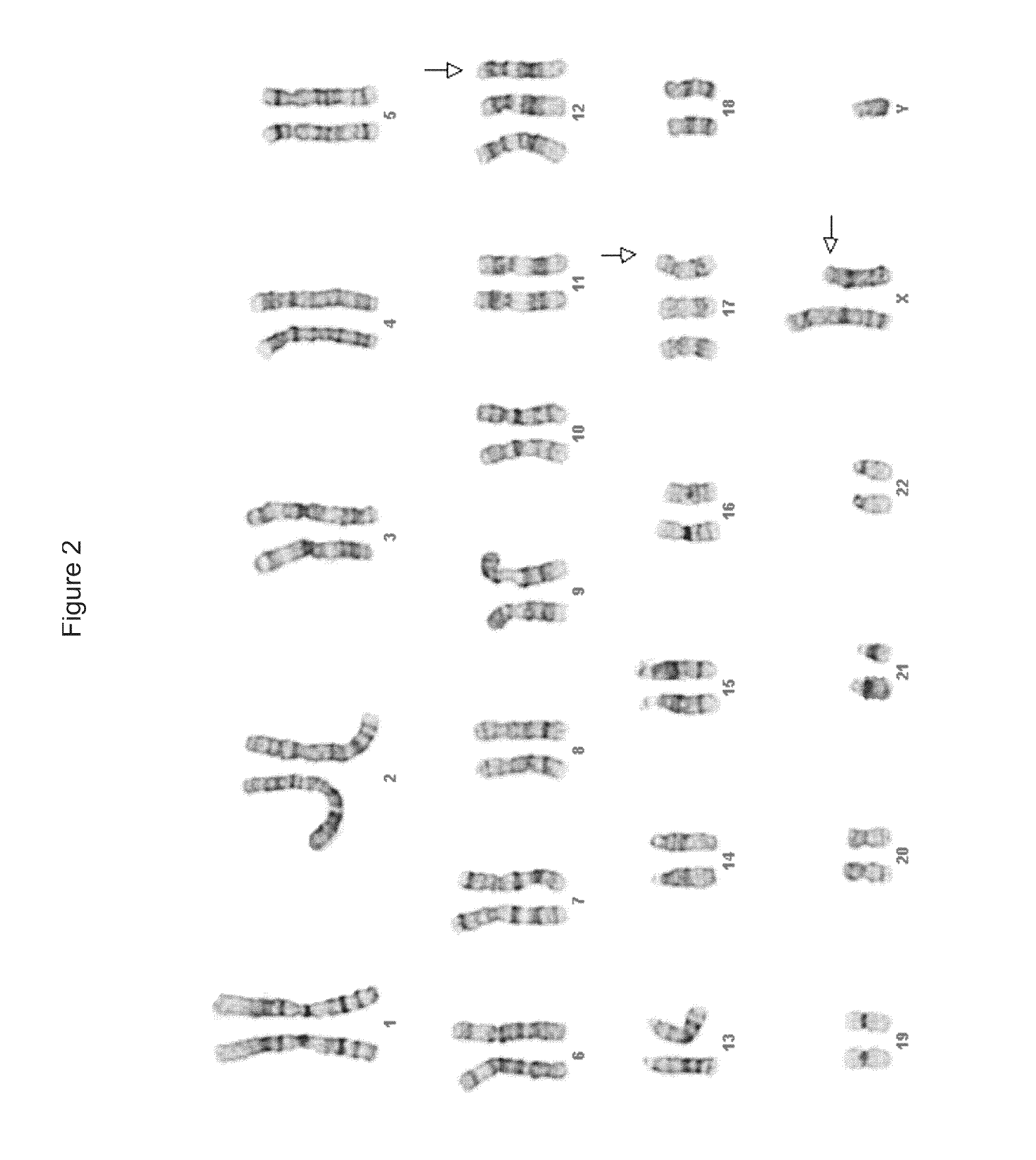 Methods for culturing stem and progenitor cells