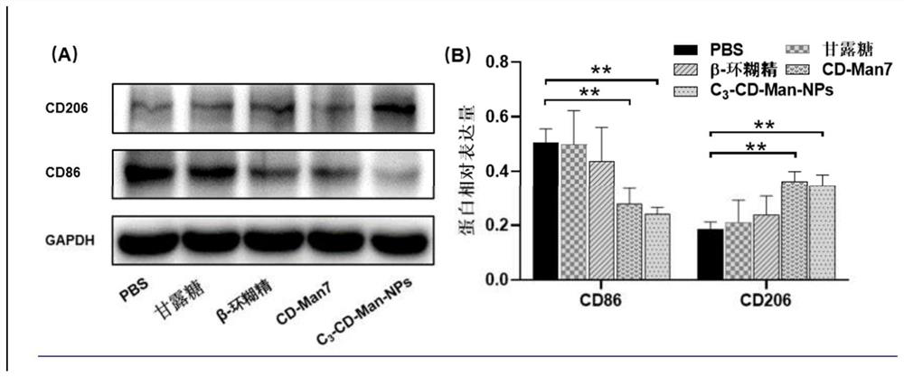 Application of beta-cyclodextrin derivative compound in preparation of medicine or preparation for promoting wound healing