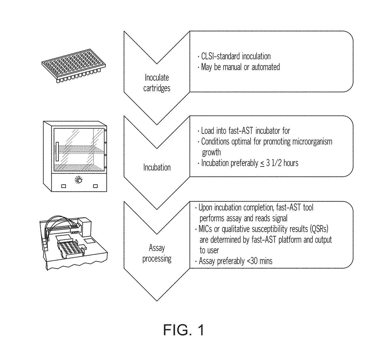 Methods for rapid antibiotic susceptibility testing