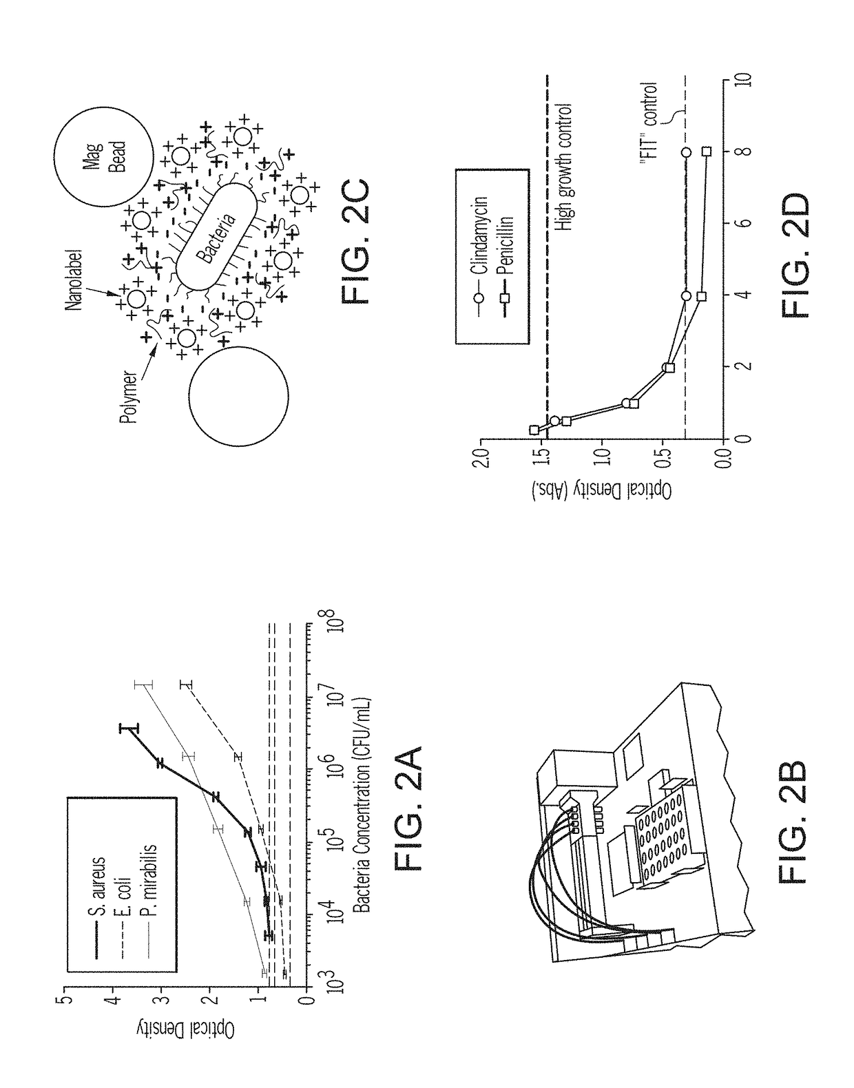 Methods for rapid antibiotic susceptibility testing