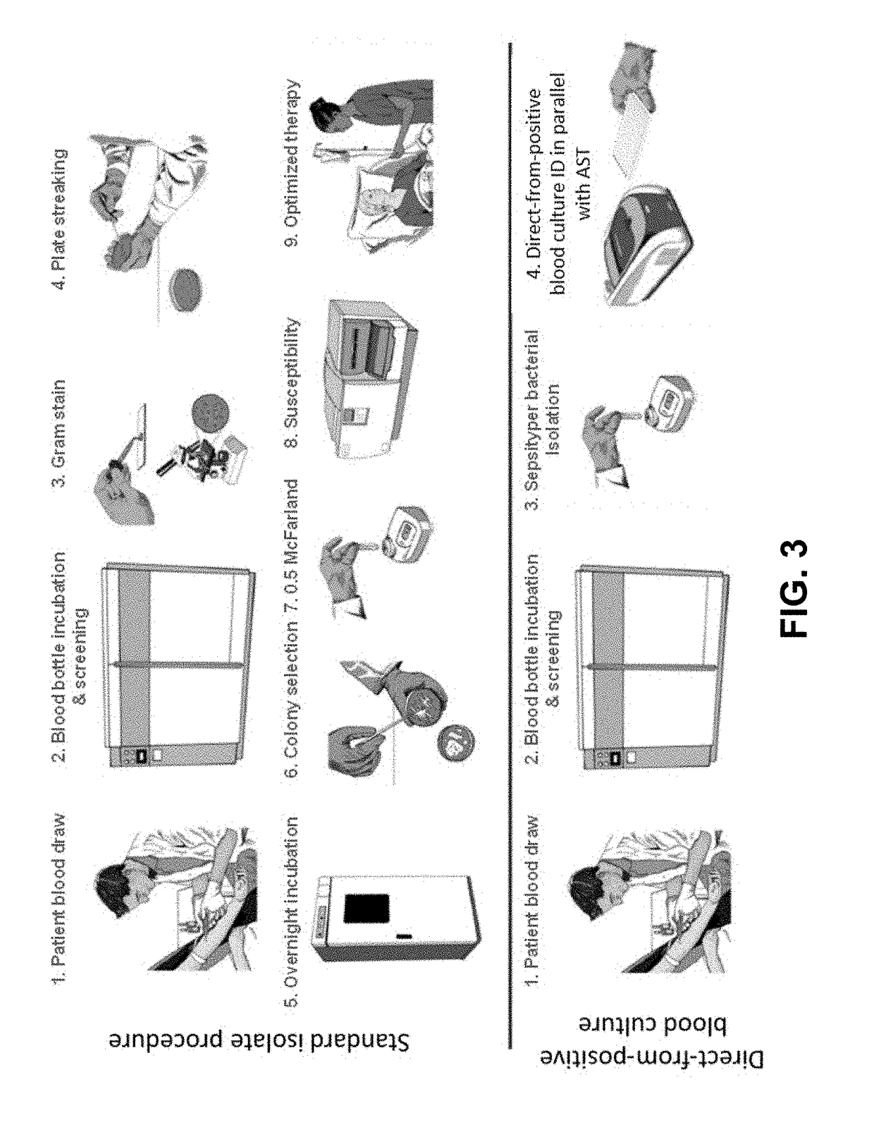 Methods for rapid antibiotic susceptibility testing