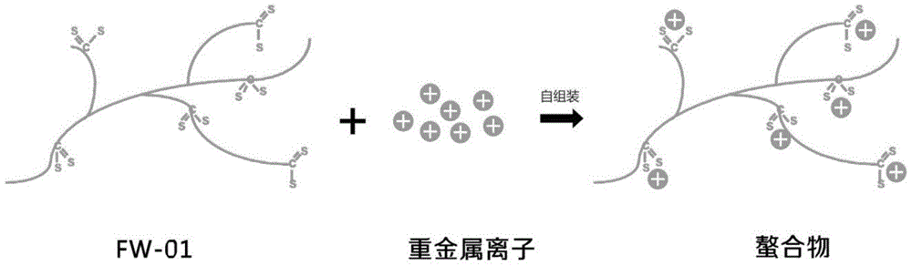 A kind of polymer heavy metal flocculant and preparation method thereof