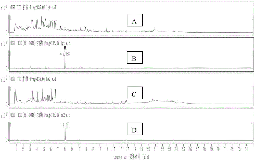 Application of triptolide in identification presence of tripterygium glycoside honey in honey as feature identification material