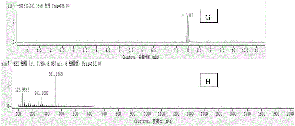 Application of triptolide in identification presence of tripterygium glycoside honey in honey as feature identification material