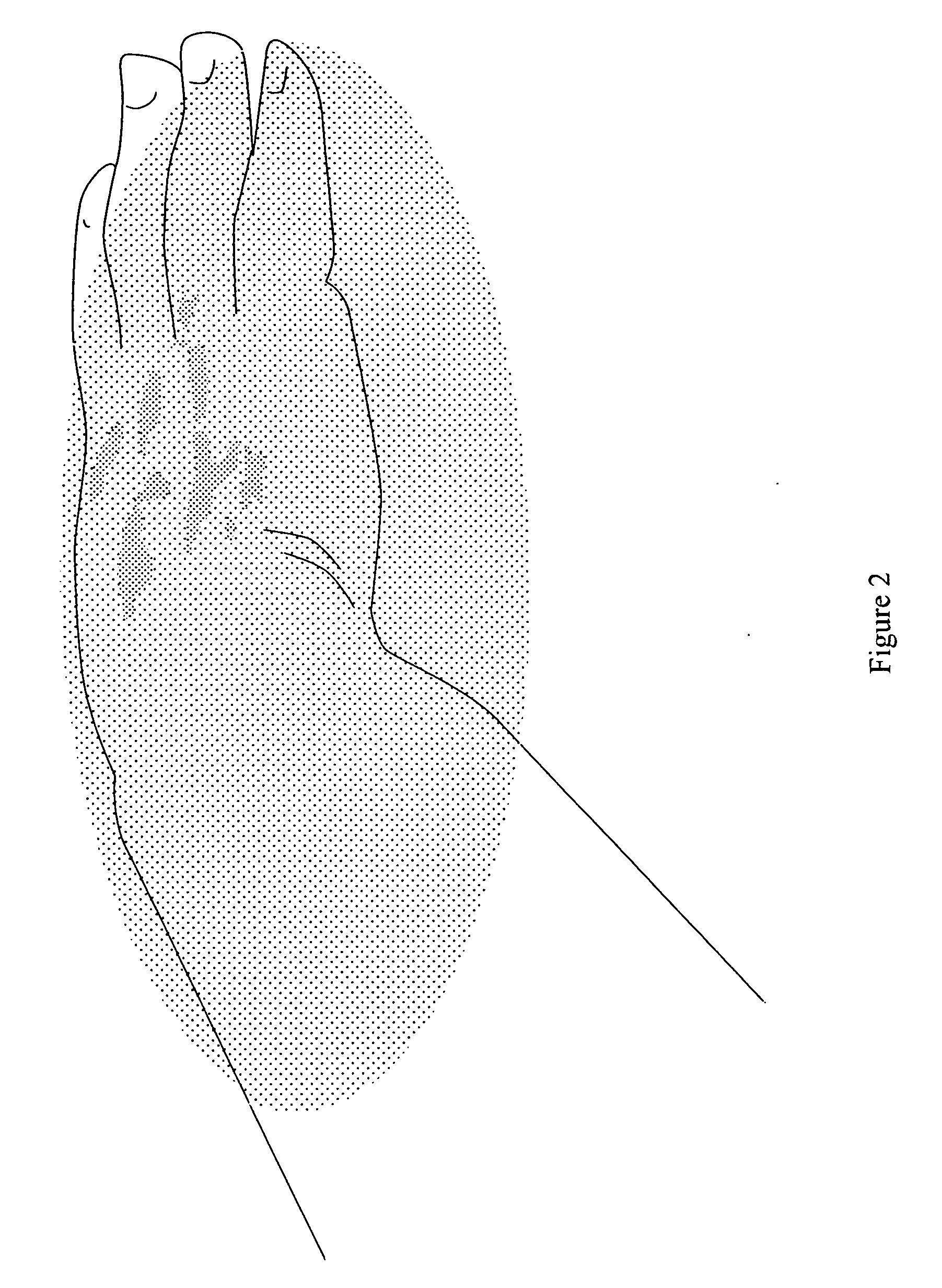 Simulant of Radiological Contamination