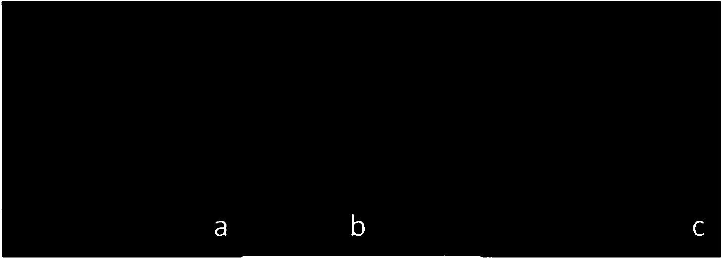 Preparation method and inspection method for fluorescent magnetic powder dual anti-counterfeiting pelleted seeds