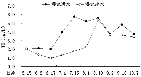 Reservoir opening forest wetland construction method for pollutant interception and water quality purification