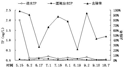 Reservoir opening forest wetland construction method for pollutant interception and water quality purification