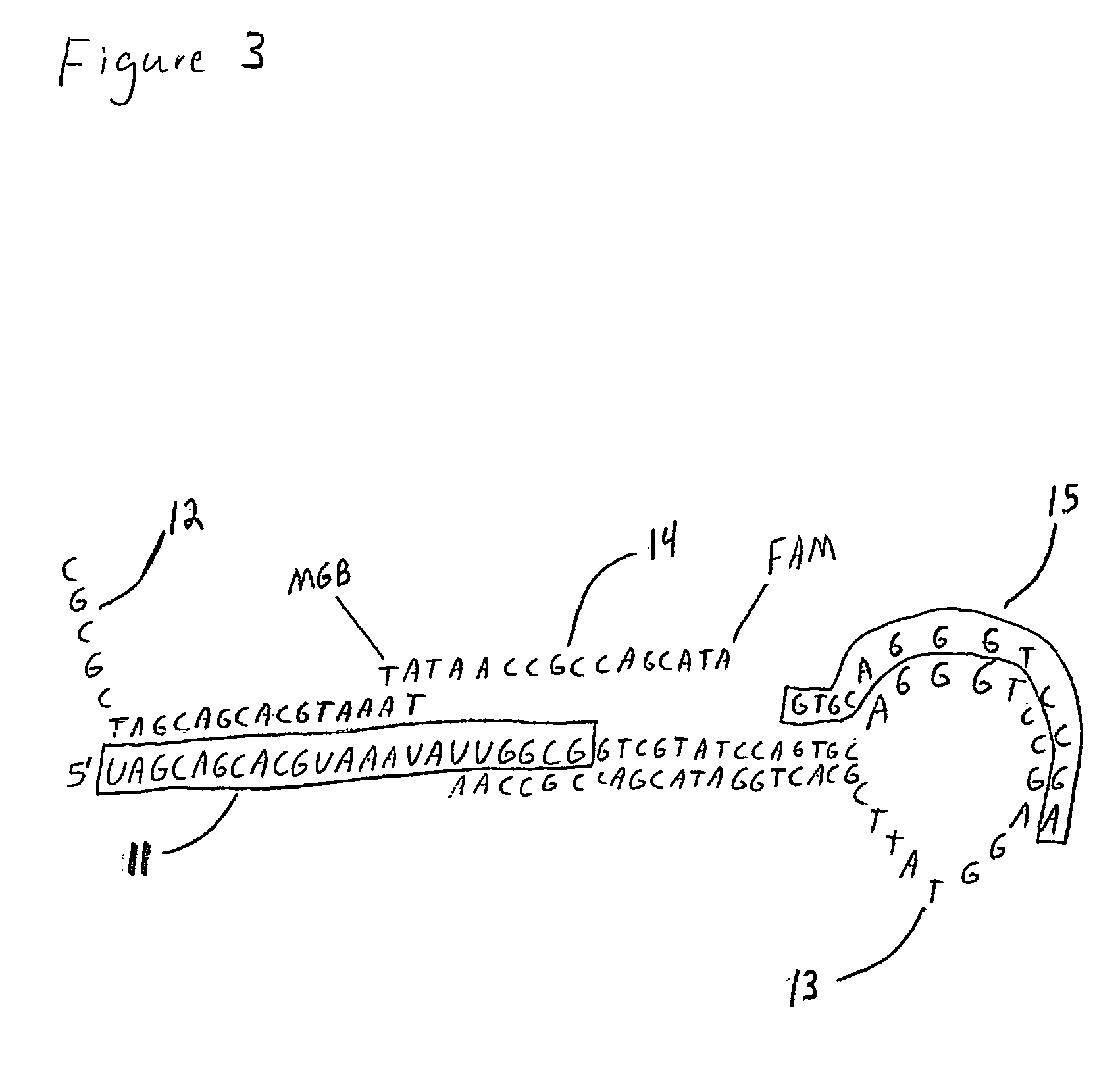 Methods, compositions, and kits comprising linker probes for quantifying polynucleotides