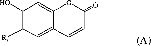 Application of cumarin kind compound in preparation of medicine for inducing nerve stem cell orienting differentiation