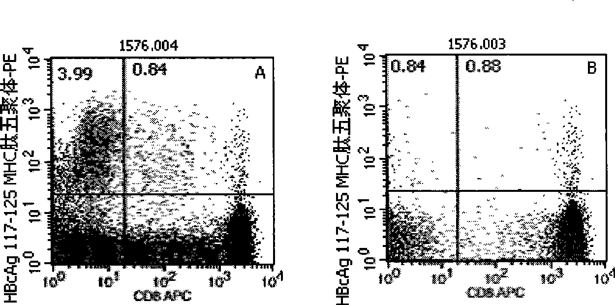 Quantitative determination method for hepatitis b virus specificity cell toxicity T lymphocyte