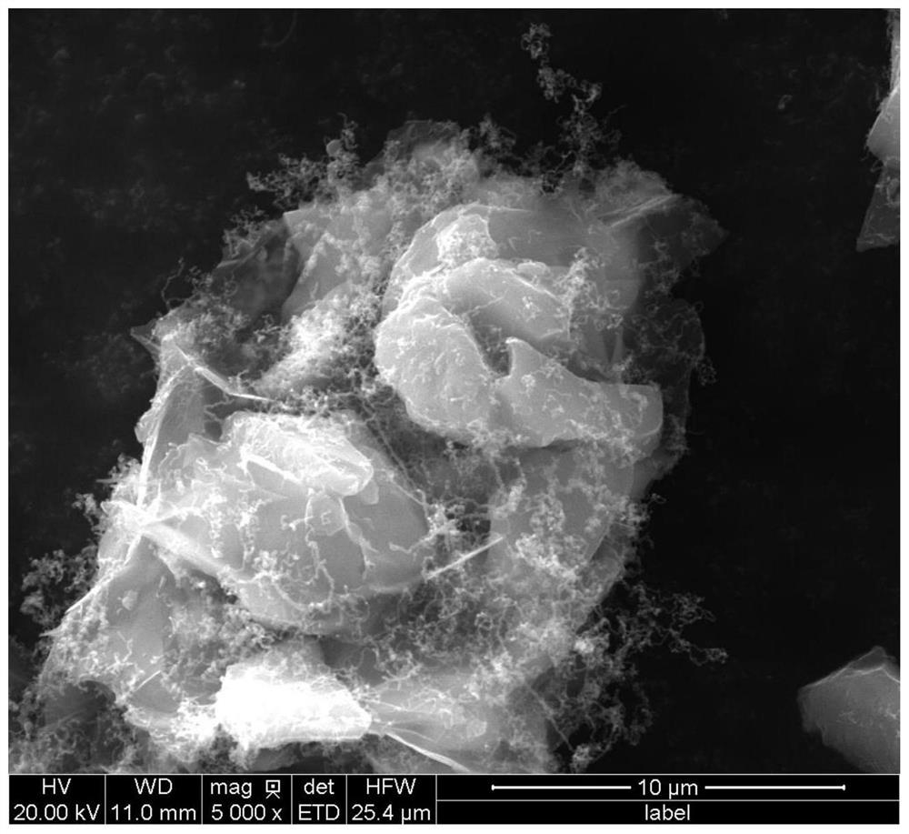 SiOx@C-CNT-G composite negative electrode material, preparation method and lithium ion battery