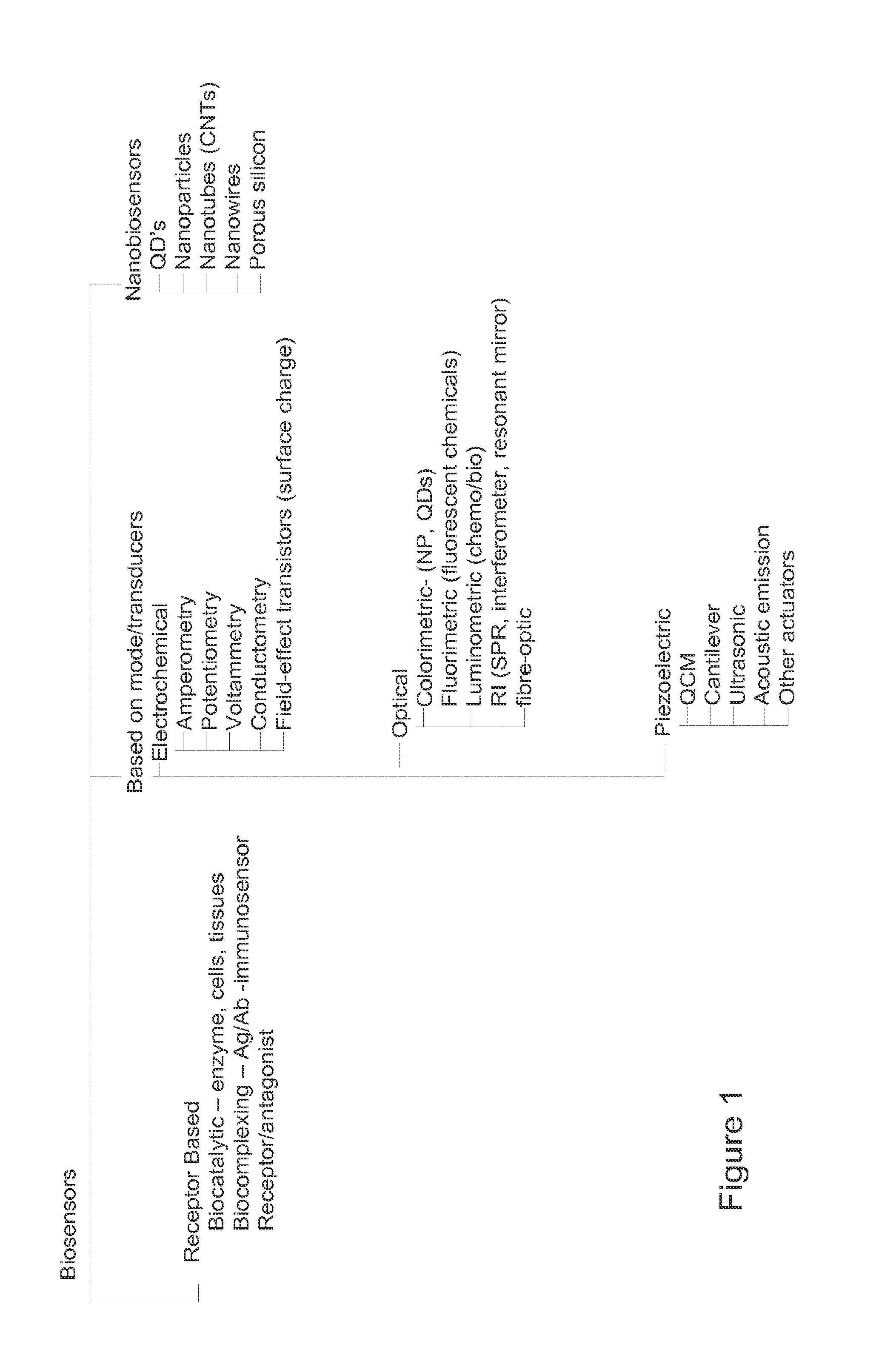 Biosensor microarray compositions and methods