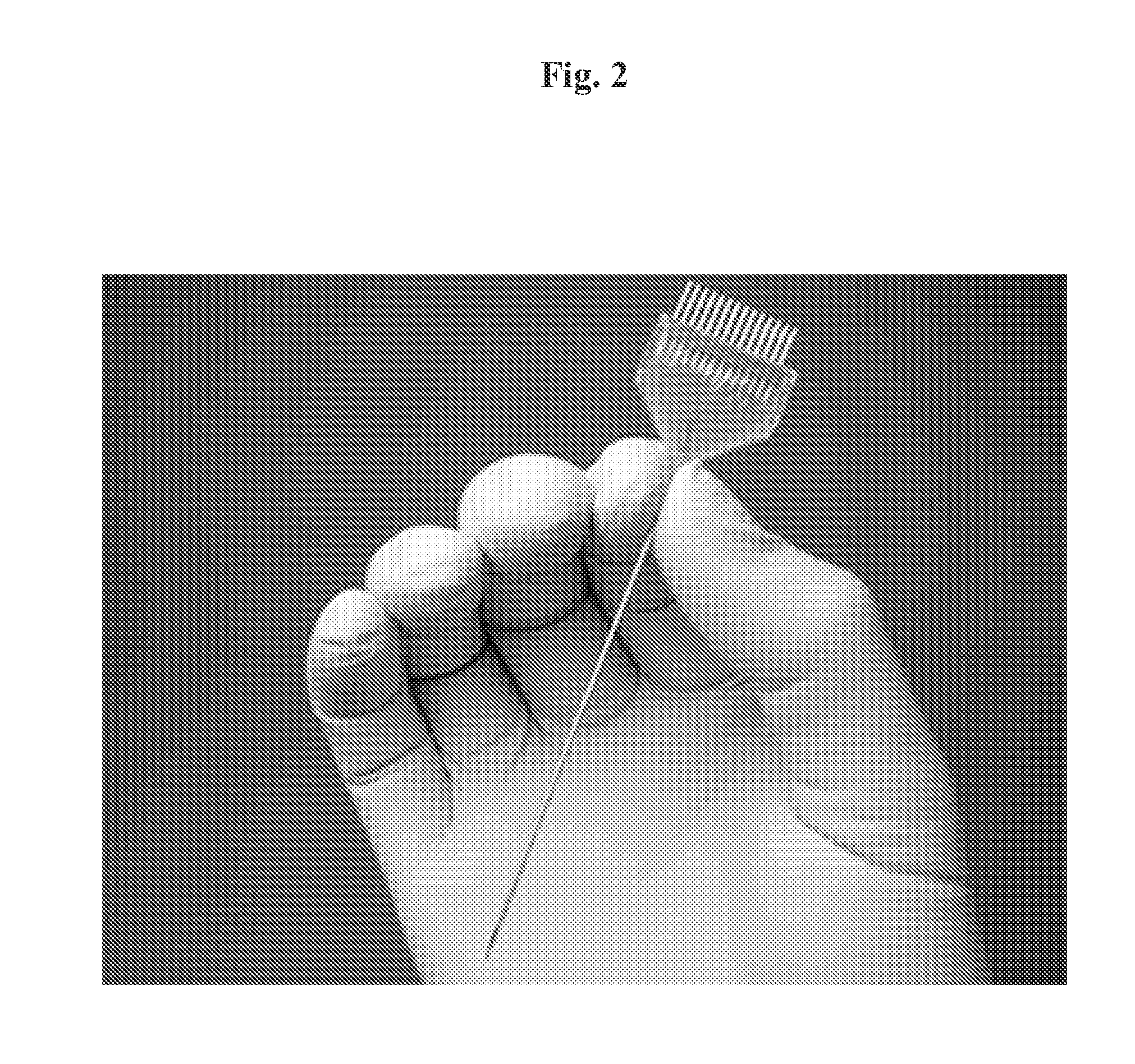 IL-1 receptor antagonist-coated electrode and uses thereof