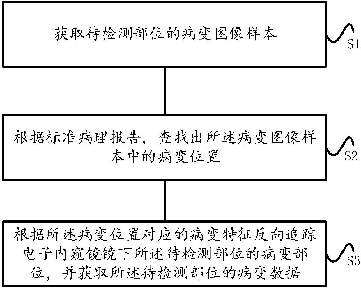 Method for acquiring pathological data, pathology identification method and computer equipment