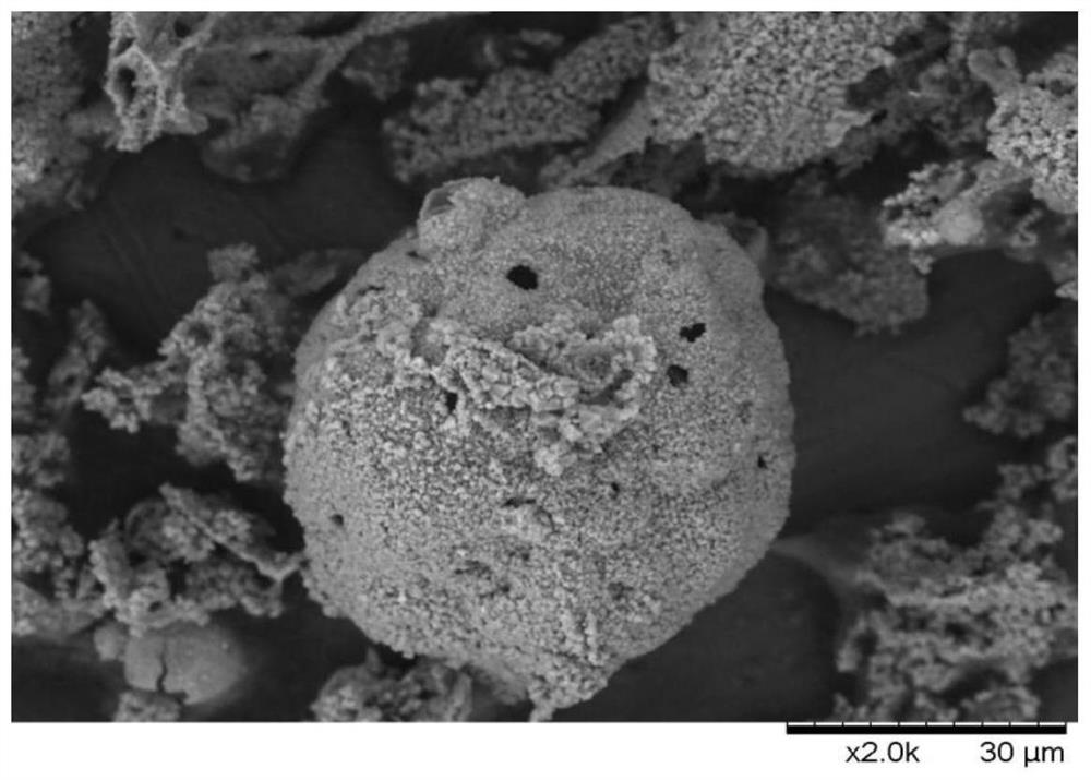 Positive electrode composite material for lithium primary battery and preparation method thereof