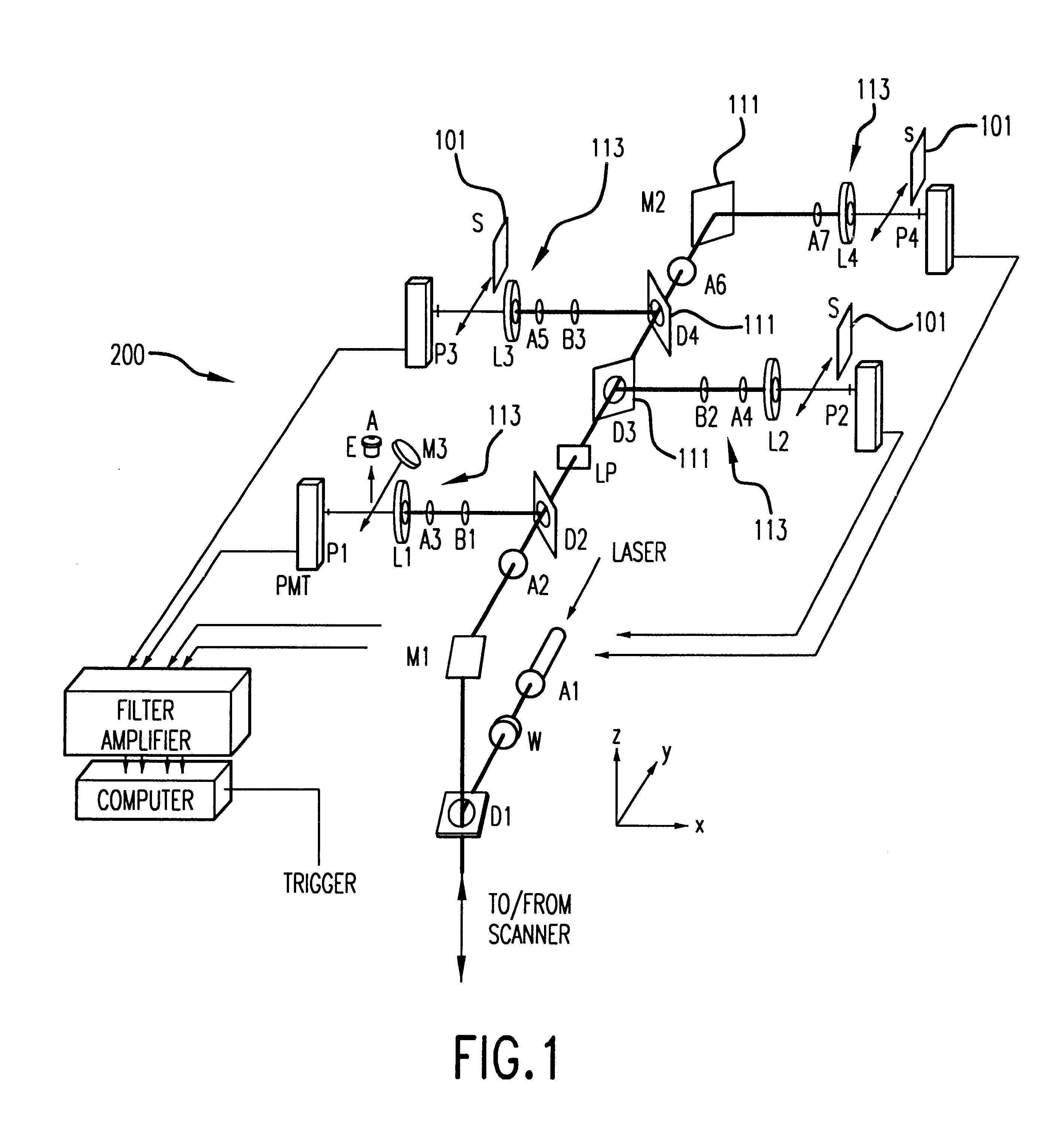 Capillary array electrophoresis scanner