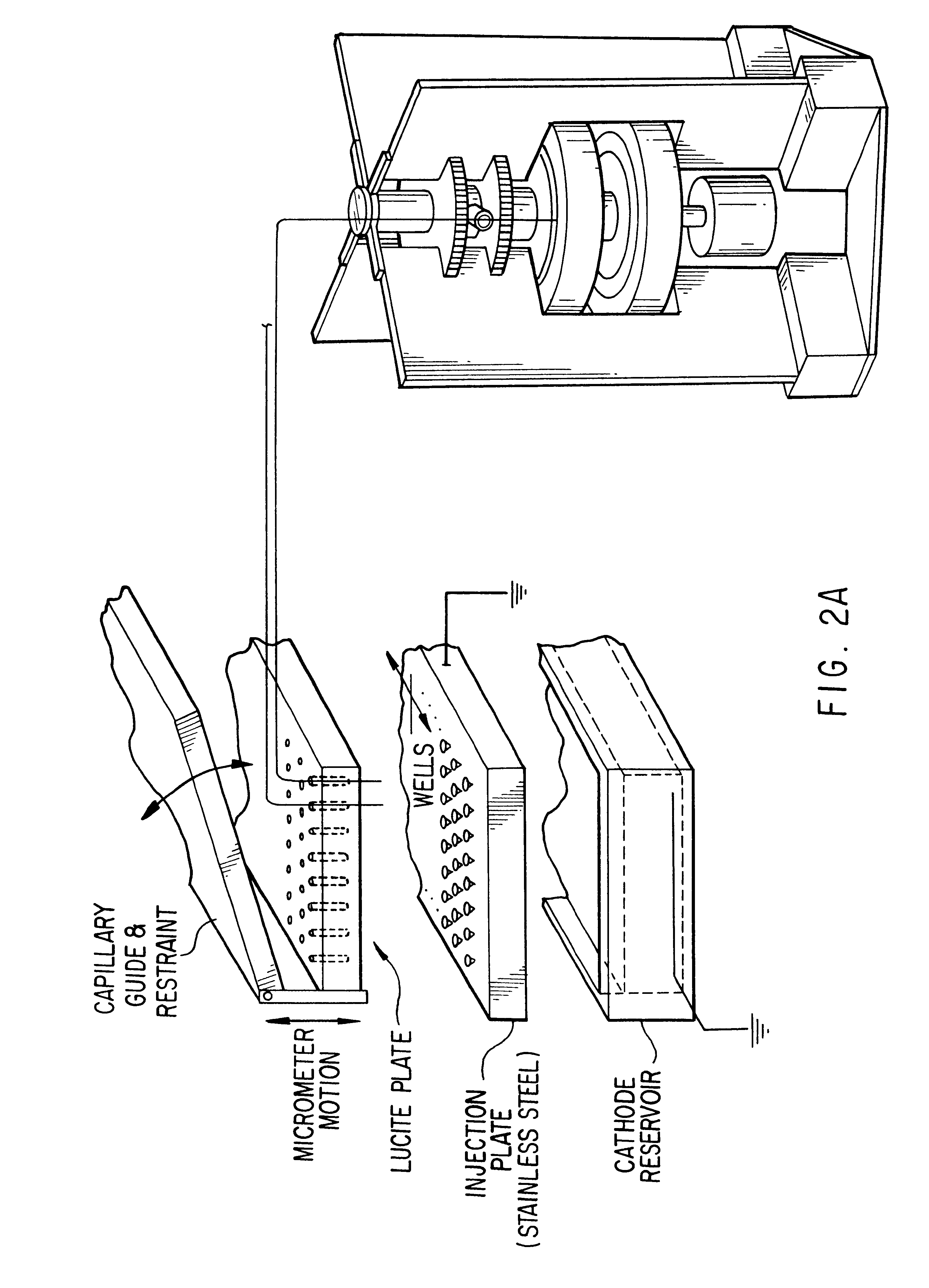 Capillary array electrophoresis scanner