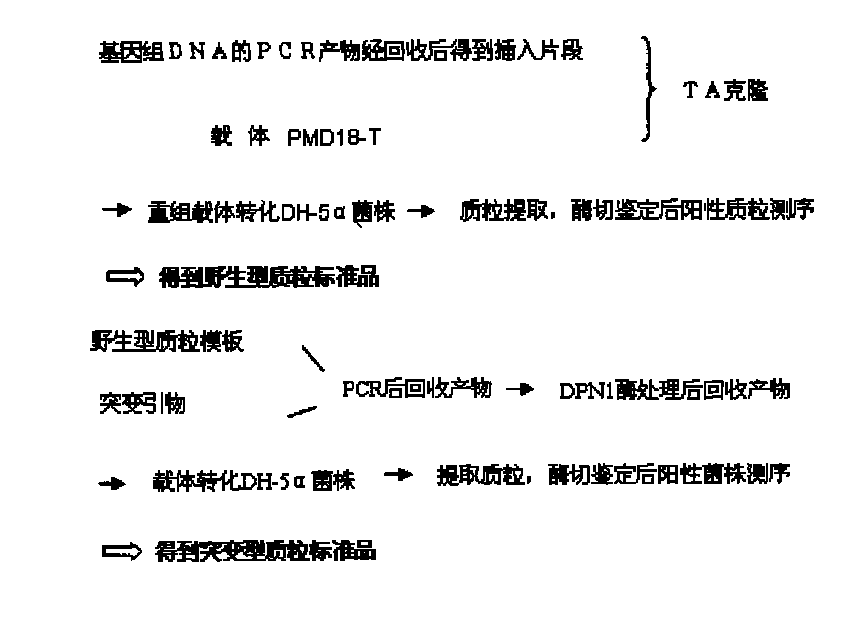 Kit for quantitative detection of K-ras mutation